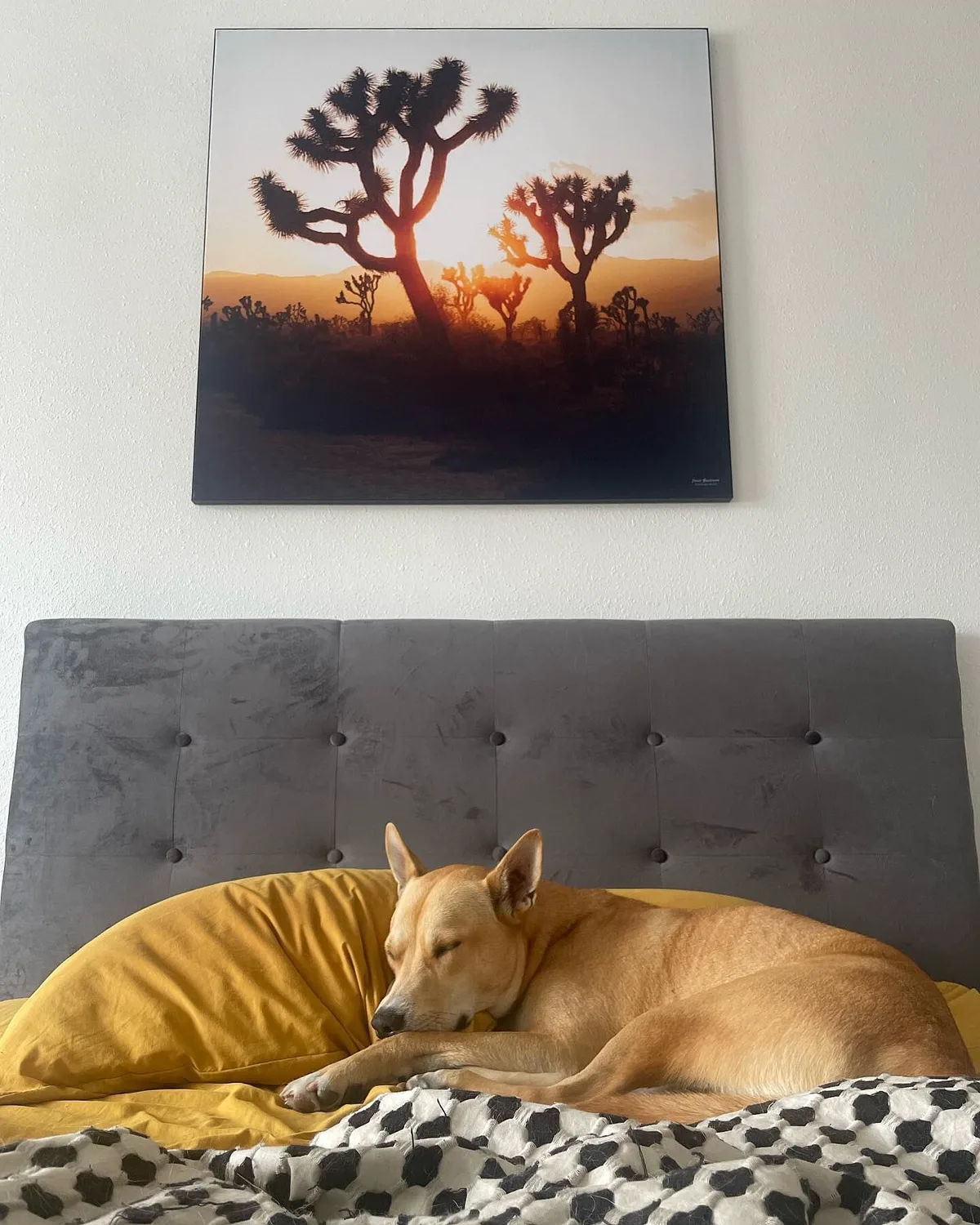 Customer photo